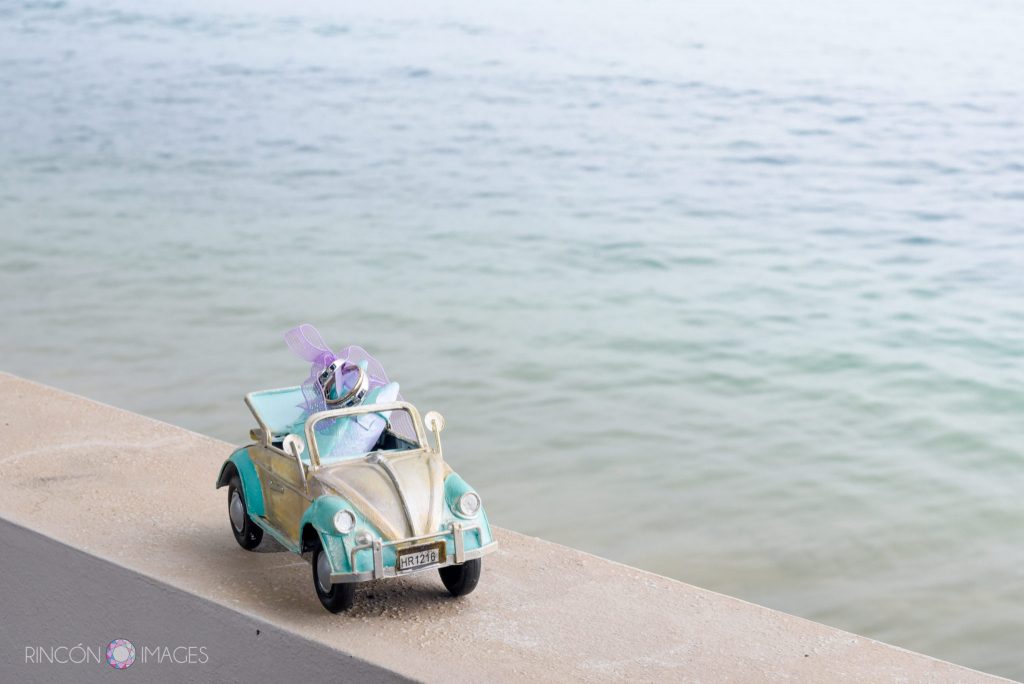Photograph of toy Volkswagon bug with the bride and grooms wedding rings tied into the back seat. The toy is sitting on a ledge overlooking the ocean.